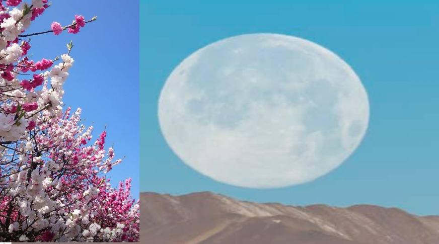 5月7日の満月のフラワームーンが見れる時間と名前の由来と蠍座満月のスピリチュアルな意味は？天気はどうなってる？
