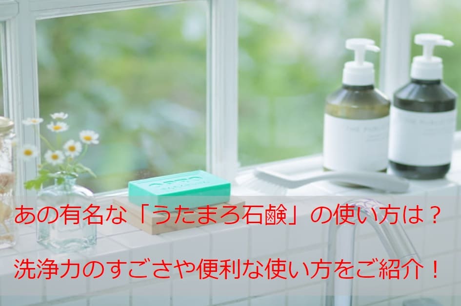 うたまろ石鹸 使い方や注意点は 固形石鹸の便利な使い方や上手な使い方をサポートするグッズも紹介 Monjiroblog
