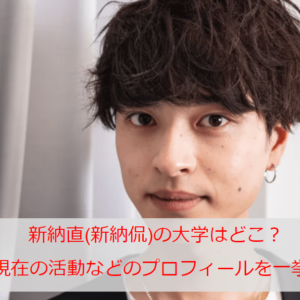 新納直(新納侃)の大学はどこ？出身地や現在の活動などのプロフィールを一挙ご紹介♡