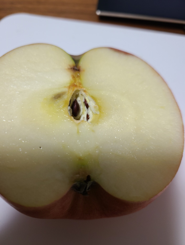 りんごの芯に白いカビ1
