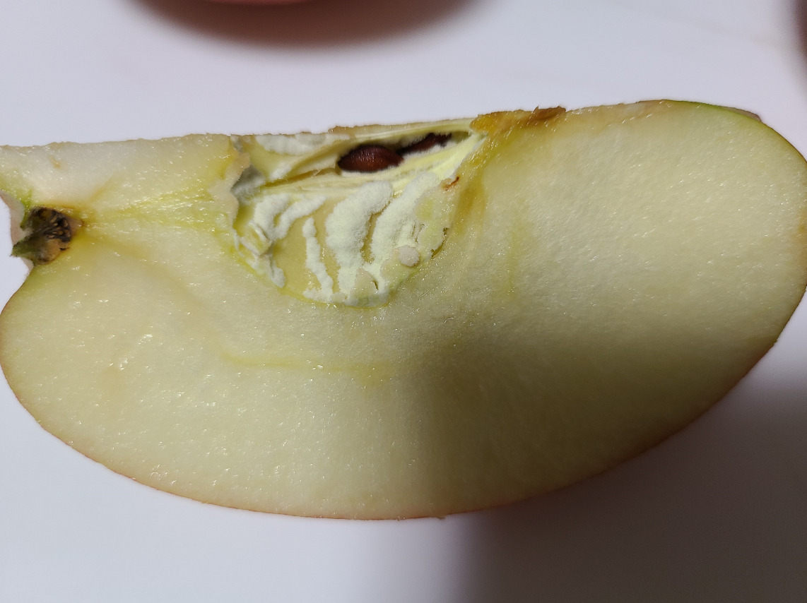りんごの芯に白いカビ2