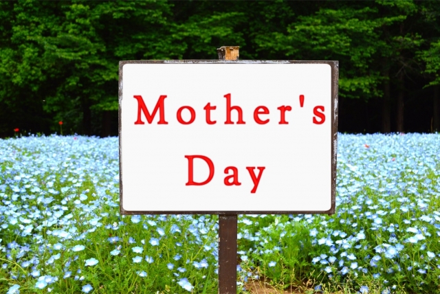 りんごの芯にカビを発見 白いカビってそもそも何 種の周りを除けば中身は食べれる Monjiroblog