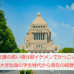 岸田文雄の若い頃は超イケメンでかっこいい！早稲田大学出身の学生時代から現在までの経歴まとめ